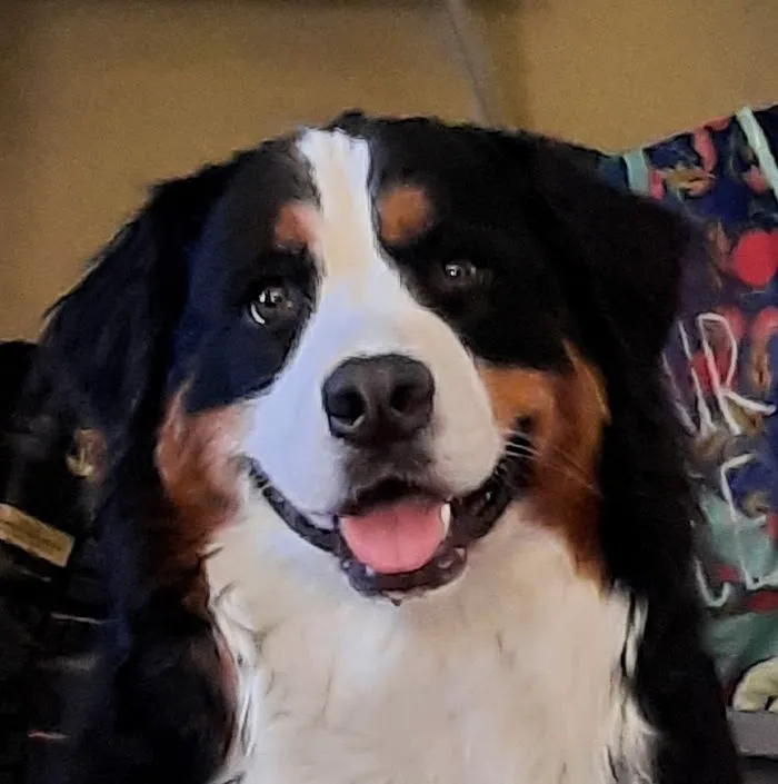 Banfield Pet Hospital 12