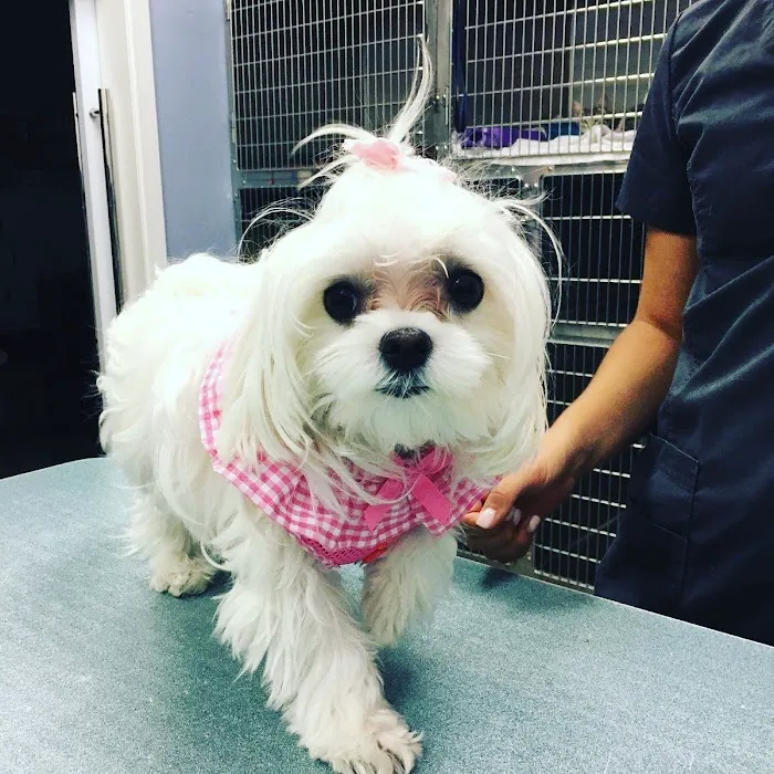 Pecan Grove Veterinary Hospital 12