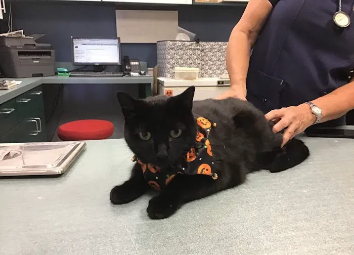 Pecan Grove Veterinary Hospital 12