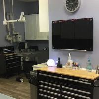 Pecan Grove Veterinary Hospital ico