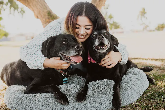 All About Restful Pets 3