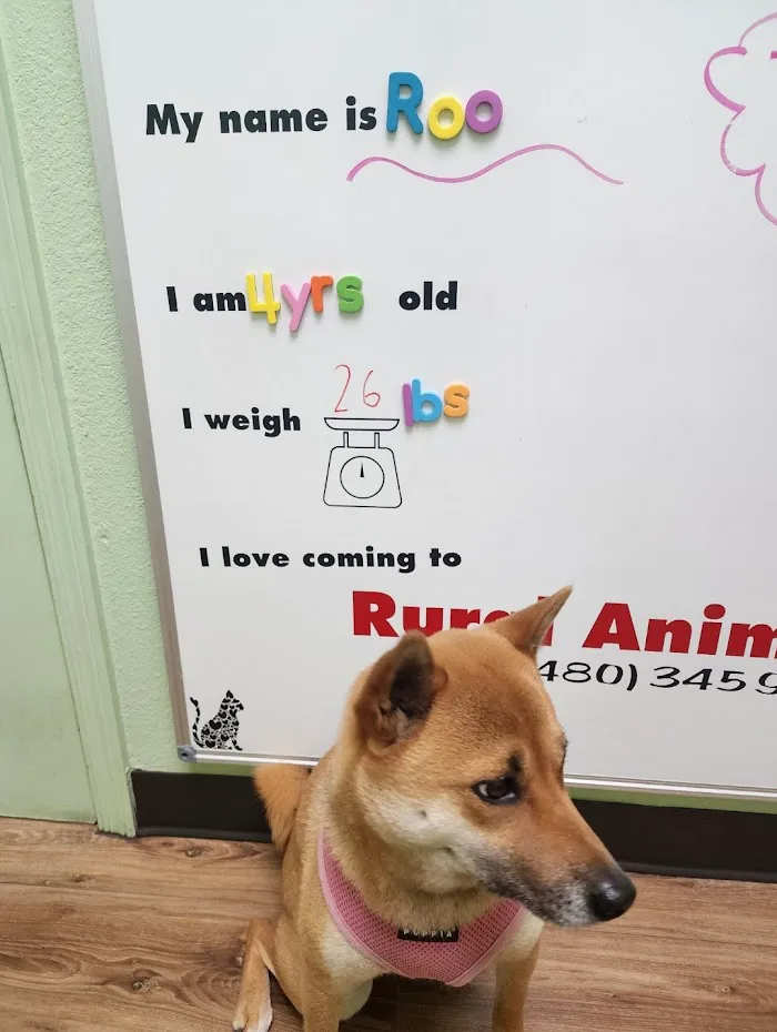Rural Animal Clinic a.k.a Dog & Cat Repair 8