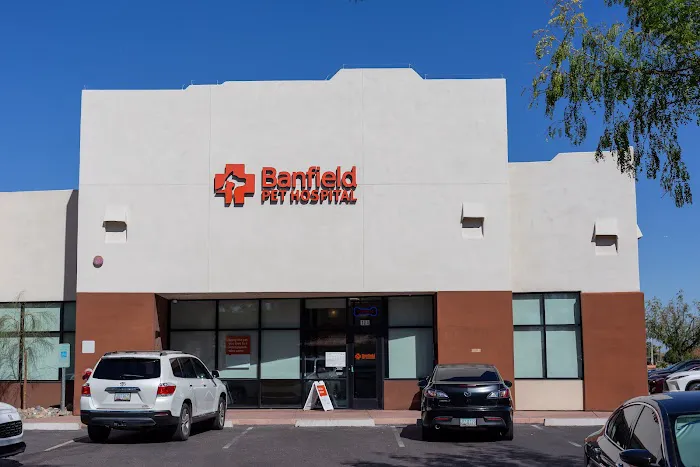 Banfield Pet Hospital 2