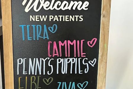Countryside Animal Hospital