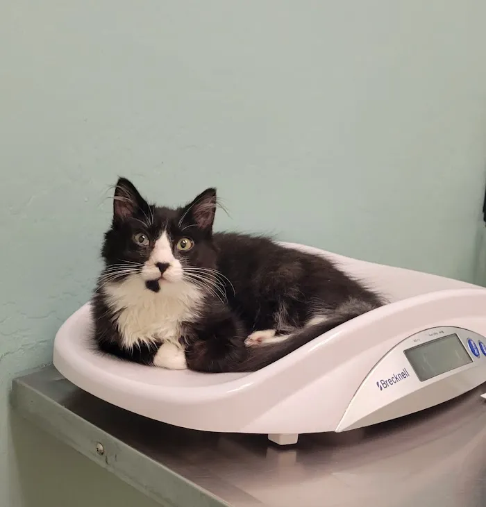 Crossroads Veterinary Hospital 6