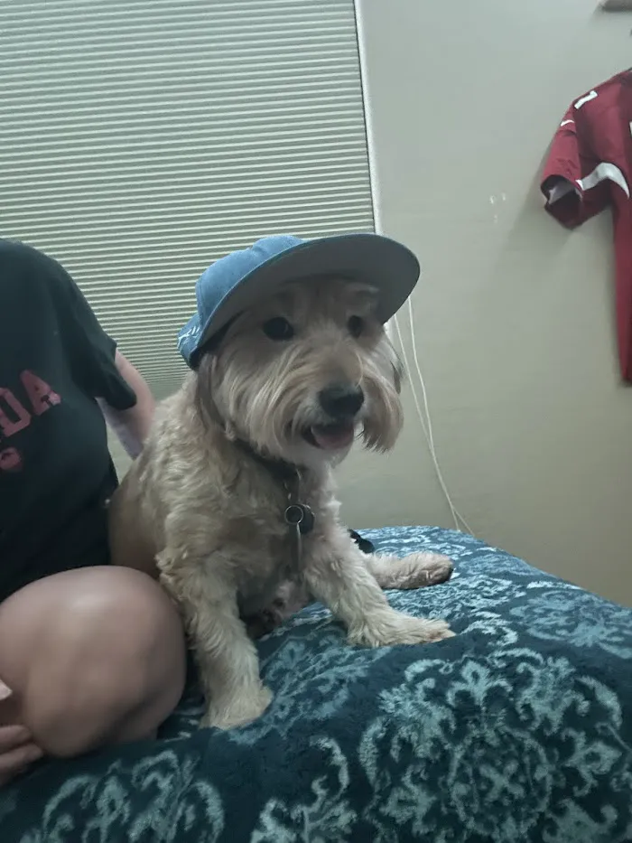Banfield Pet Hospital 5