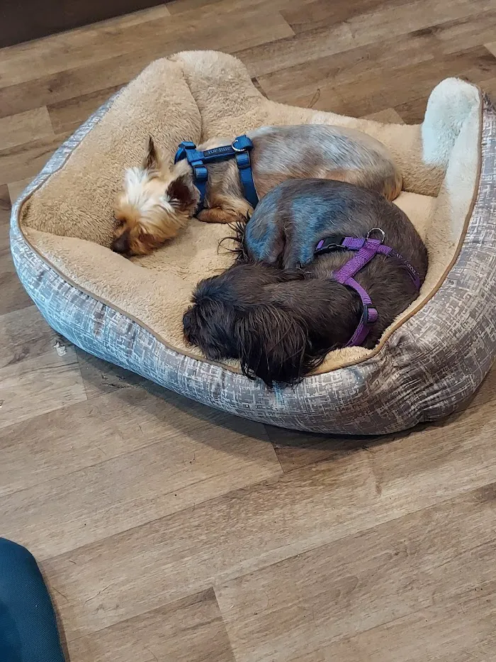 Banfield Pet Hospital 7