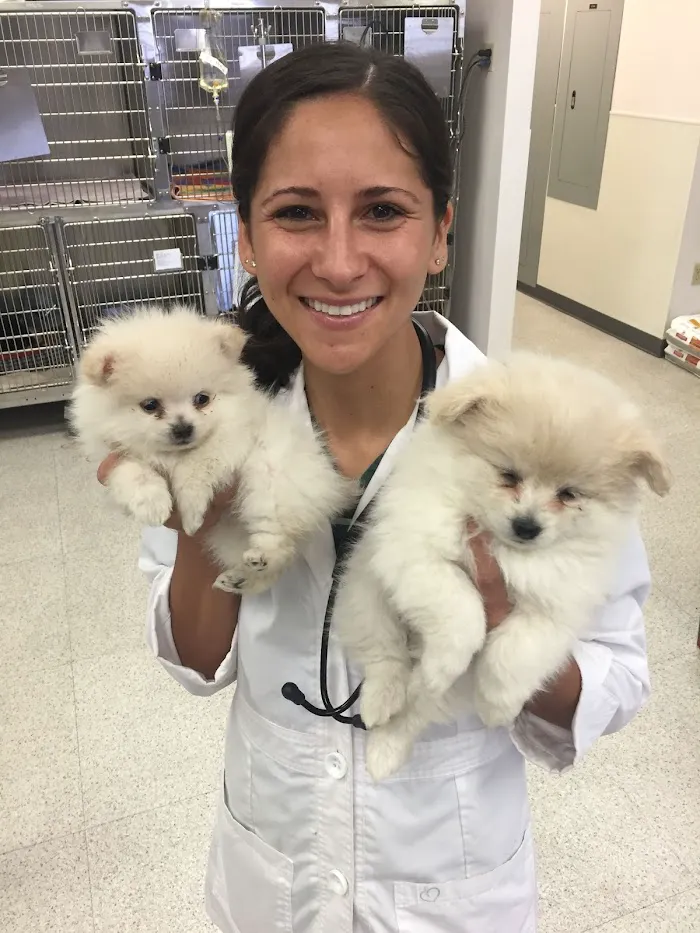 Family VetCare of Chandler 12