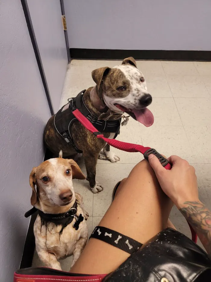 Pride Animal Hospital 12