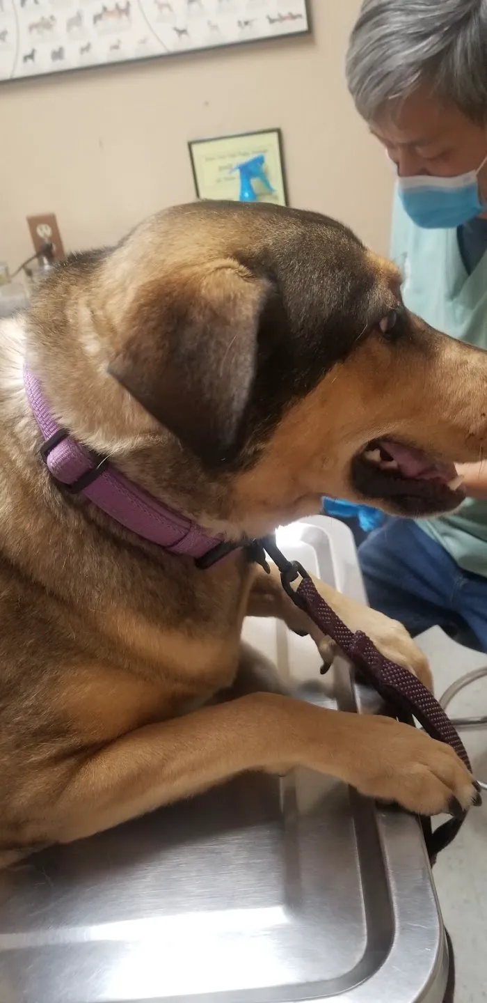Pride Animal Hospital 12