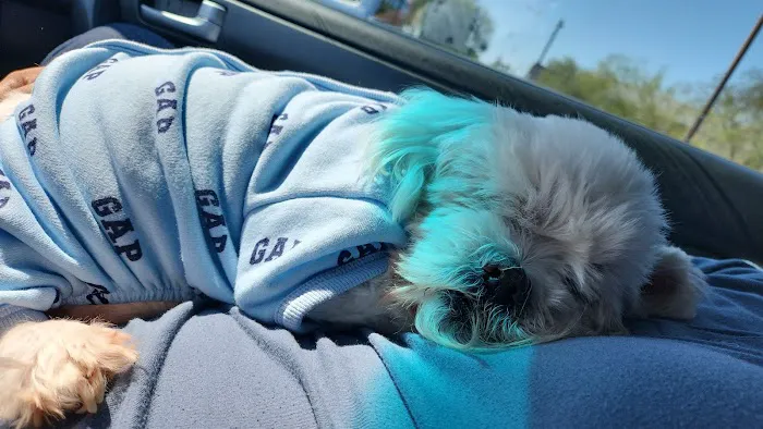 Pride Animal Hospital 12