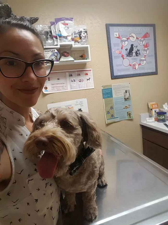 Pride Animal Hospital 12