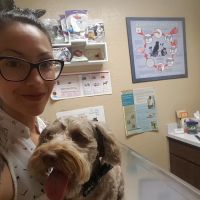 Pride Animal Hospital ico