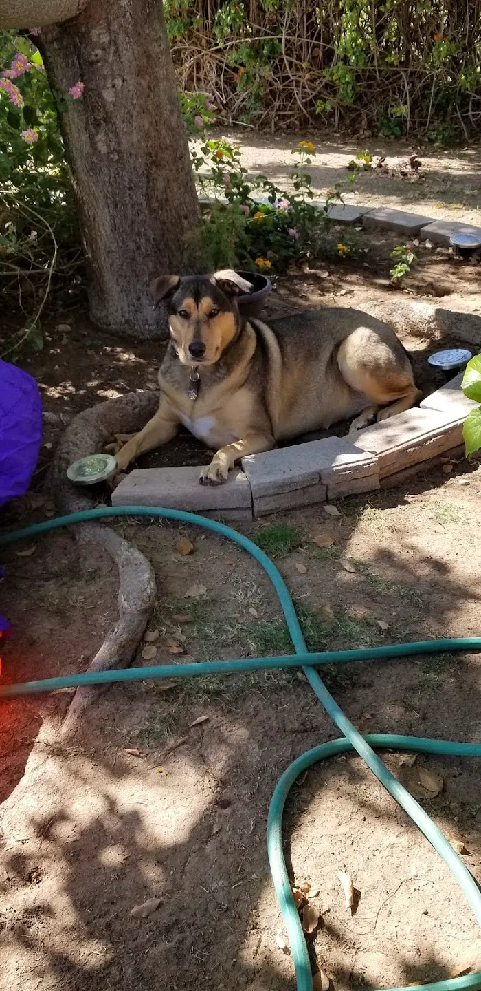 Pride Animal Hospital 12