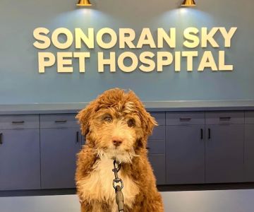 Sonoran Sky Pet Hospital