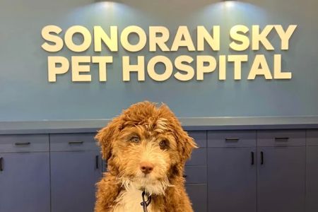 Sonoran Sky Pet Hospital