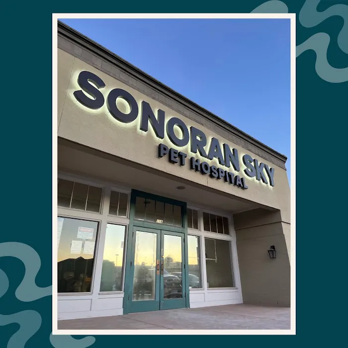 Sonoran Sky Pet Hospital 2