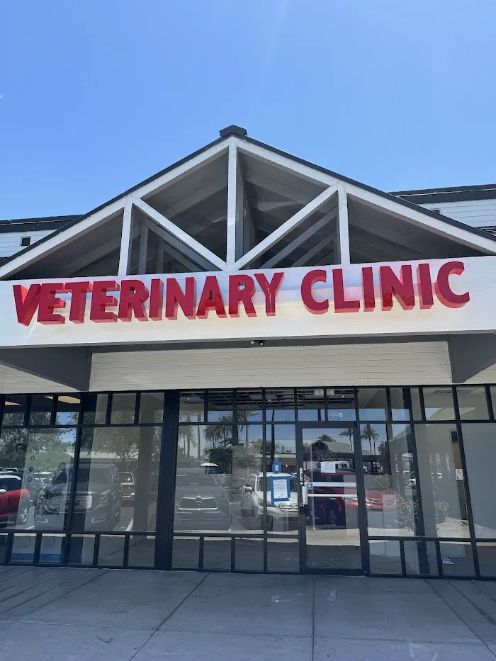Amethyst Veterinary Clinic 4