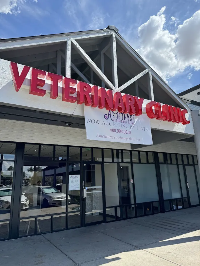 Amethyst Veterinary Clinic 2