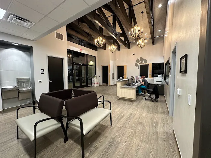 Queen Creek Veterinary Clinic 12