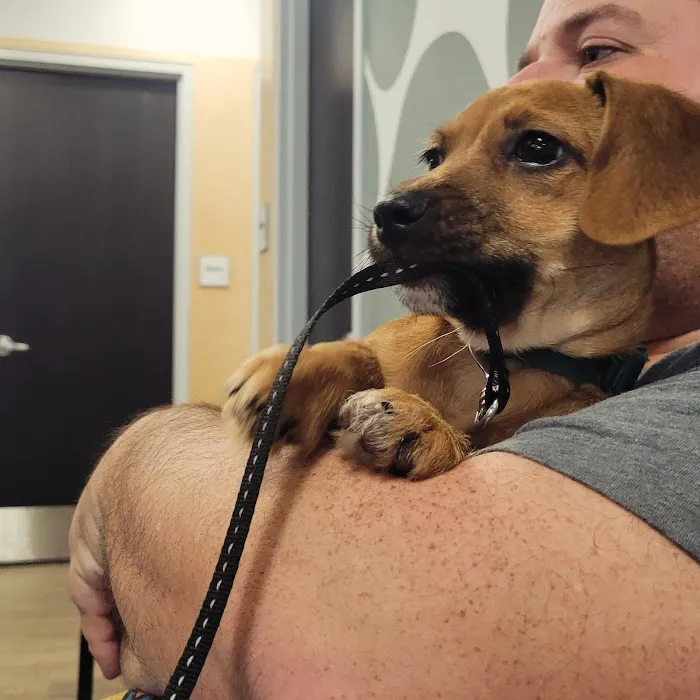 Queen Creek Veterinary Clinic 12