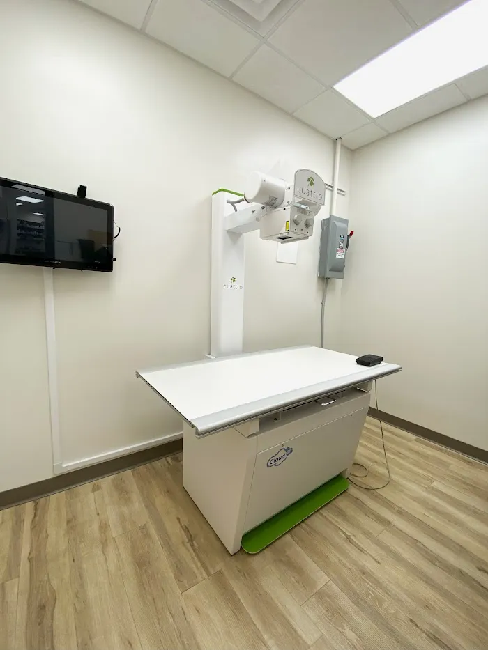East Valley Urgent Pet Care 12