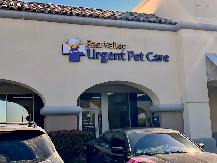 East Valley Urgent Pet Care 12