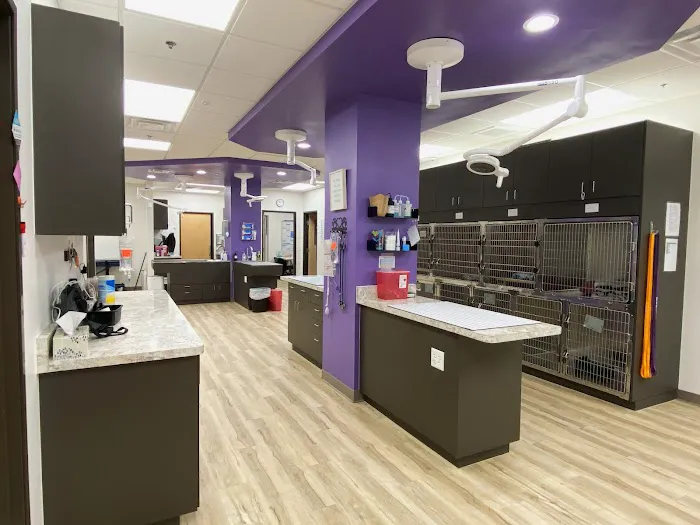 East Valley Urgent Pet Care 12