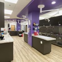 East Valley Urgent Pet Care ico
