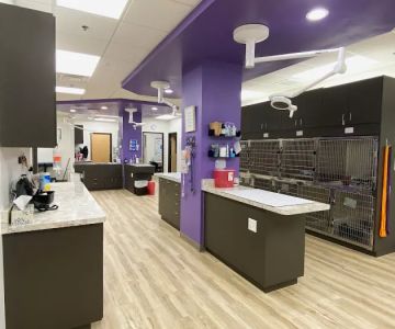 East Valley Urgent Pet Care