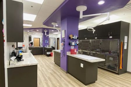 East Valley Urgent Pet Care