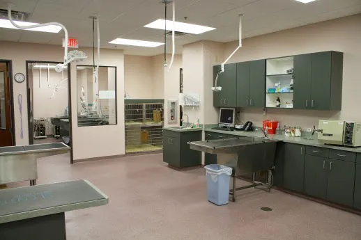 Oasis Animal Hospital 12