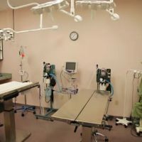 Oasis Animal Hospital ico