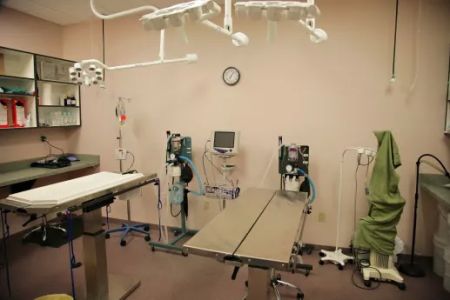 Oasis Animal Hospital
