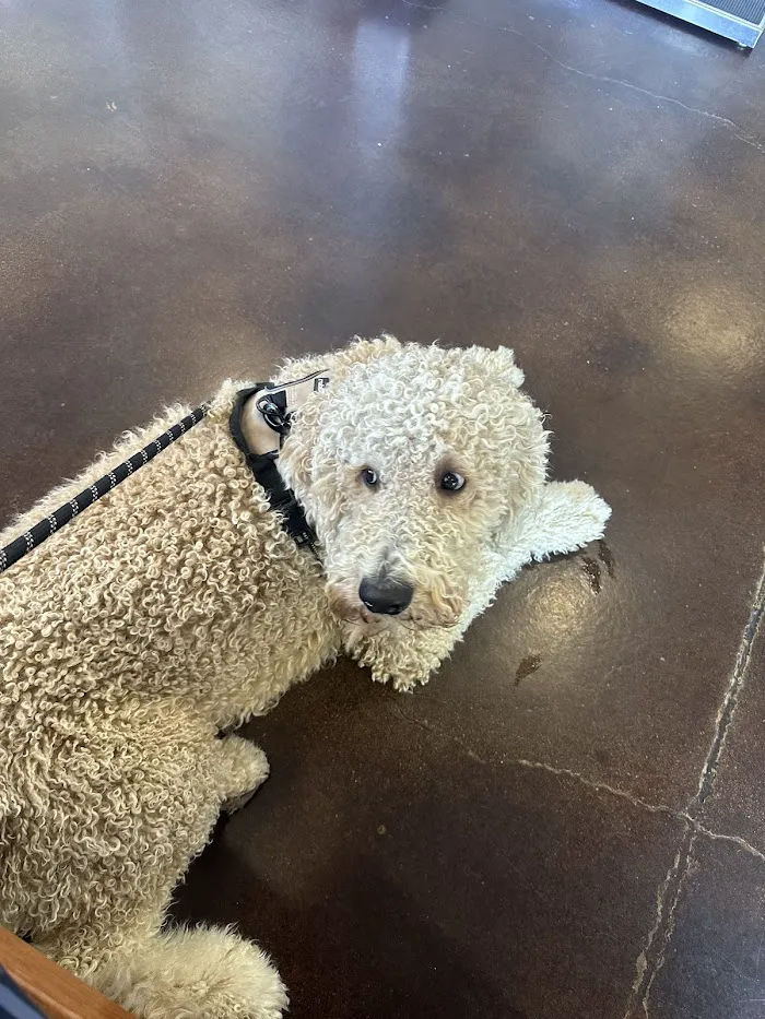 Oasis Animal Hospital 12
