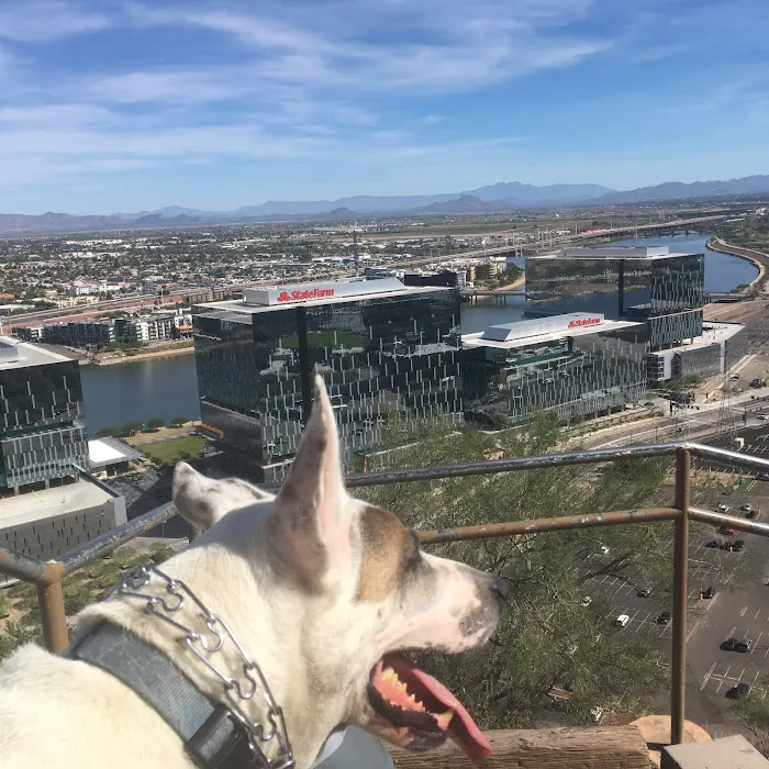 Oasis Animal Hospital 12
