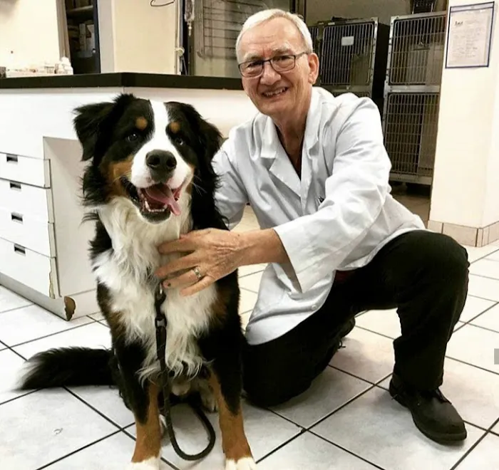 Chandler Small Animal Clinic 12