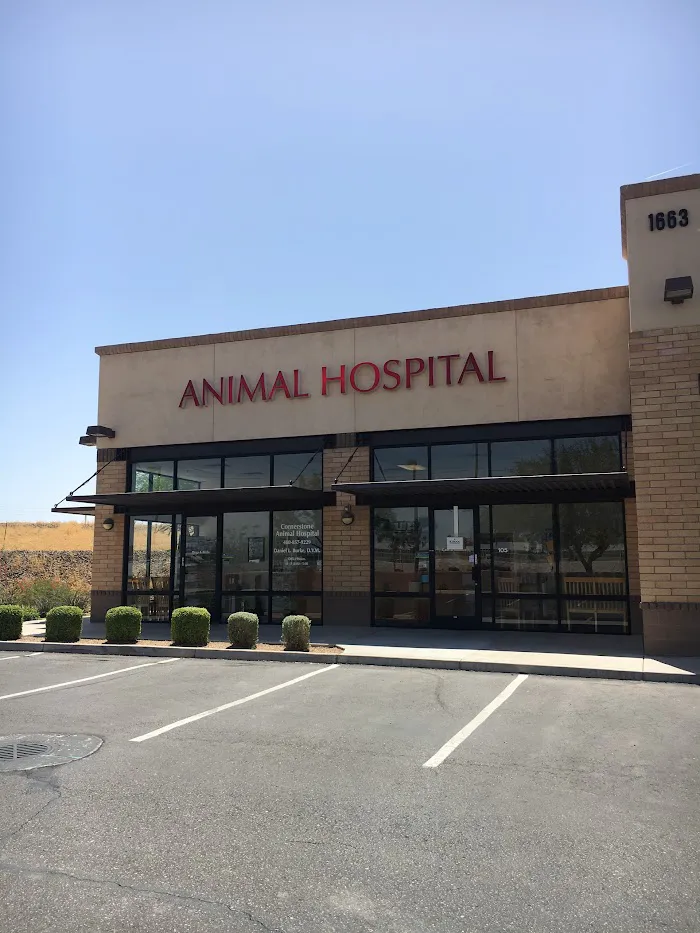 Cornerstone Animal Hospital 12