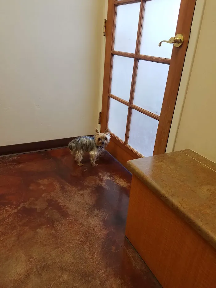 Cornerstone Animal Hospital 12
