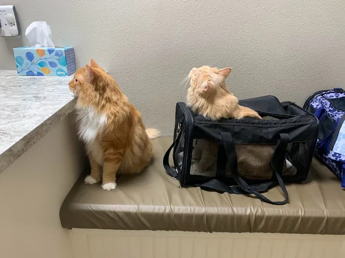 Warner Vista Animal Hospital 2