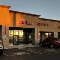 Warner Vista Animal Hospital ico