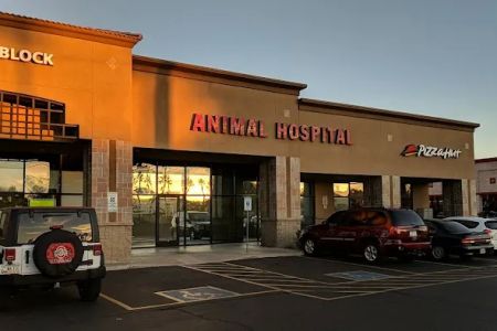 Warner Vista Animal Hospital