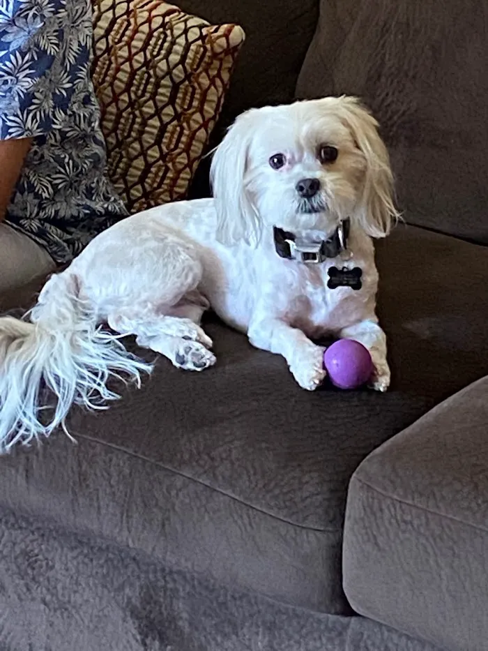Warner Vista Animal Hospital 6