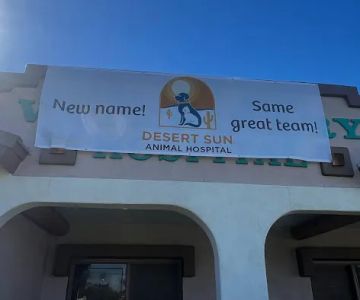 Desert Sun Animal Hospital
