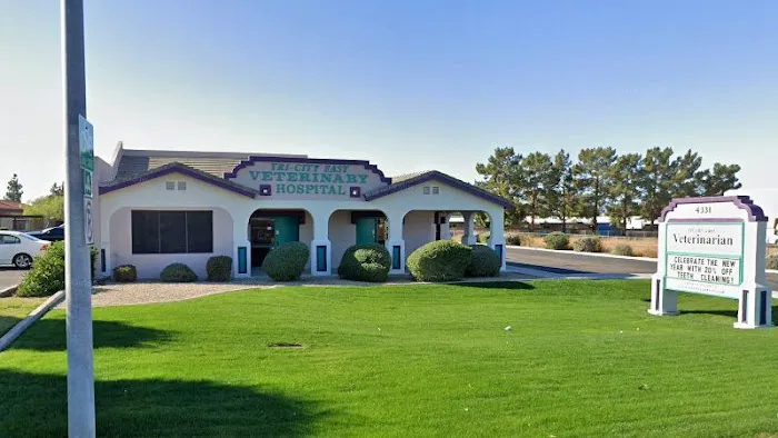 Desert Sun Animal Hospital 9