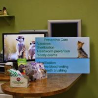 Anasazi Animal Clinic ico
