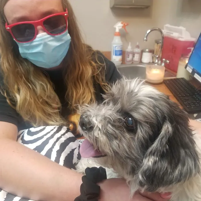 Anasazi Animal Clinic 12