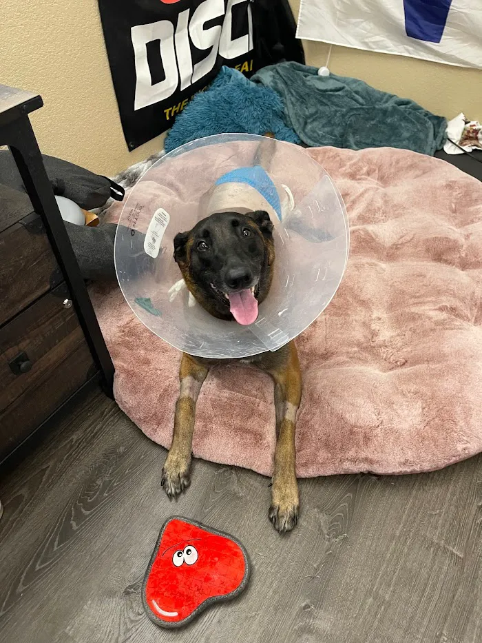 Paws Veterinary Clinic 9