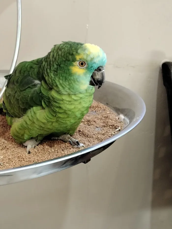 Paws Veterinary Clinic 6