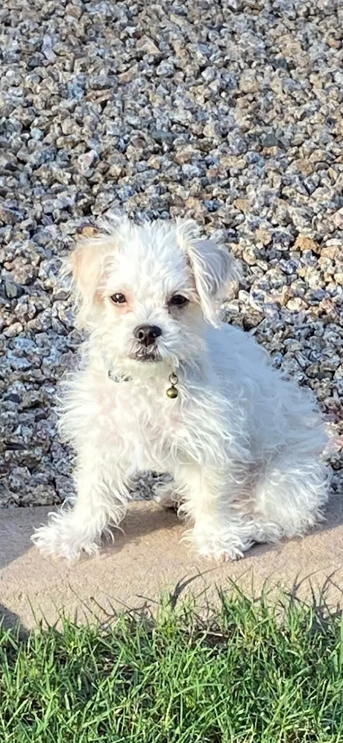 Higley Road Pet Clinic 8